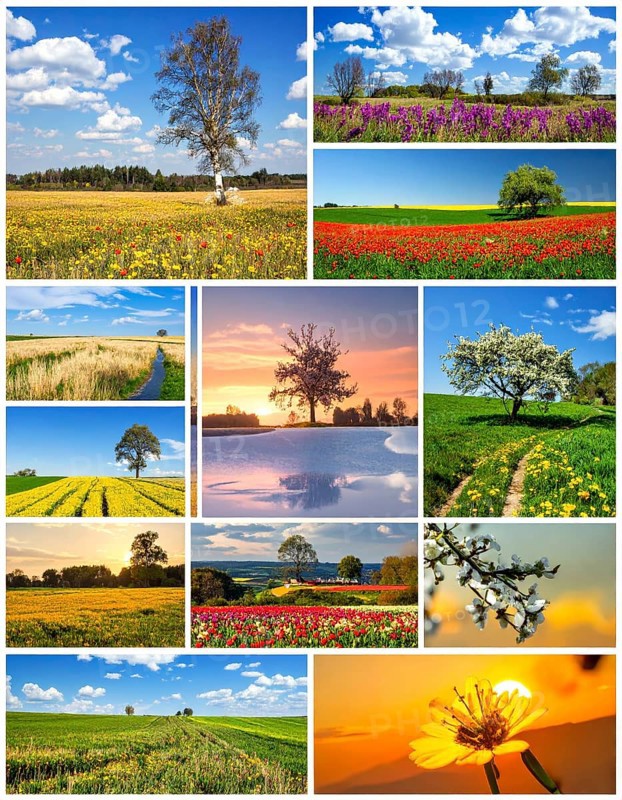 Collage of spring and summer landscapes, blooming flowers, green meadows and trees, hilly landscape with mountains, blue cloudy sky with sunrise or sunset, wallpaper illustration for banner or template background, AI generated