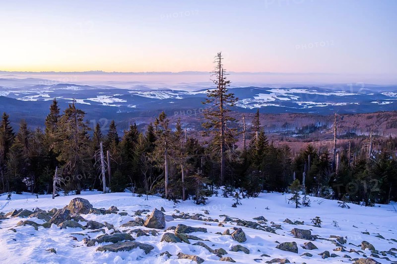 View from Mount Lusen over the hills of the bavarian forest at sunrise in winter, Bavaria, Germany