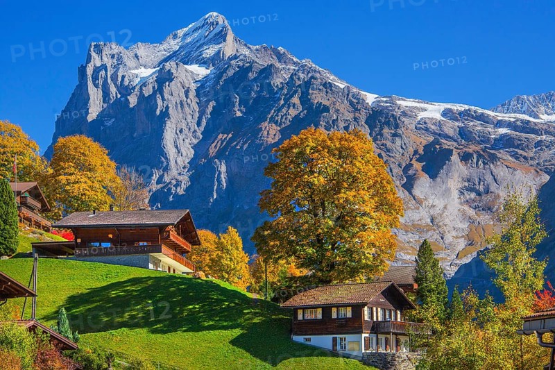 Typical rural and holiday homes with Wetterhorn 3690m in autumn, Grindelwald, Lütschinental, Bernese Oberland, Canton of Bern, Switzerland