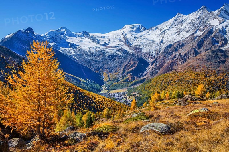 View from Kreuzboden to Saas-Fee with Alalin 4027m, Alphubel 4206m and Mischabel Group 4545m in autumn, Saas-Grund, Saasertal, Valais, Switzerland
