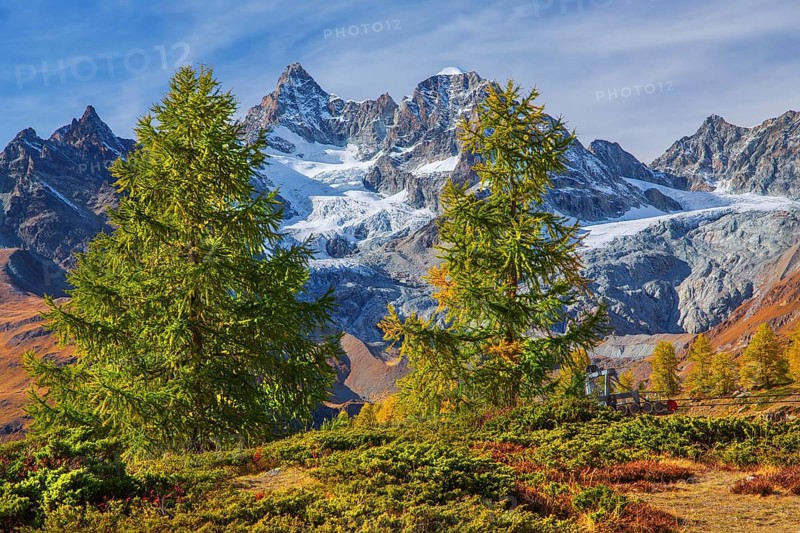 Autumn landscape on the Sunnegga with Zinalrothorn 4221m, Zermatt, Mattertal, Valais, Switzerland