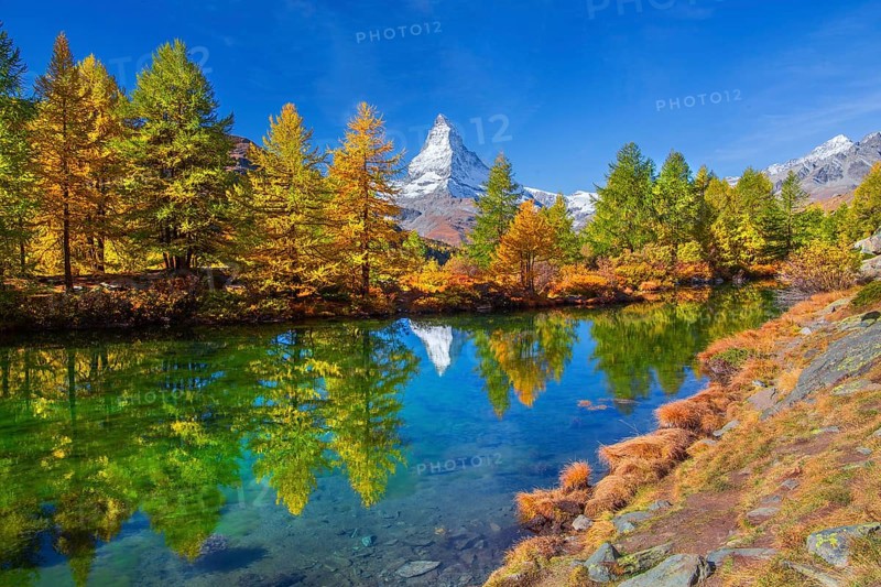 Matterhorn 4478 m with reflection in Lake Grindji in autumn, Zermatt, Mattertal, Valais, Switzerland