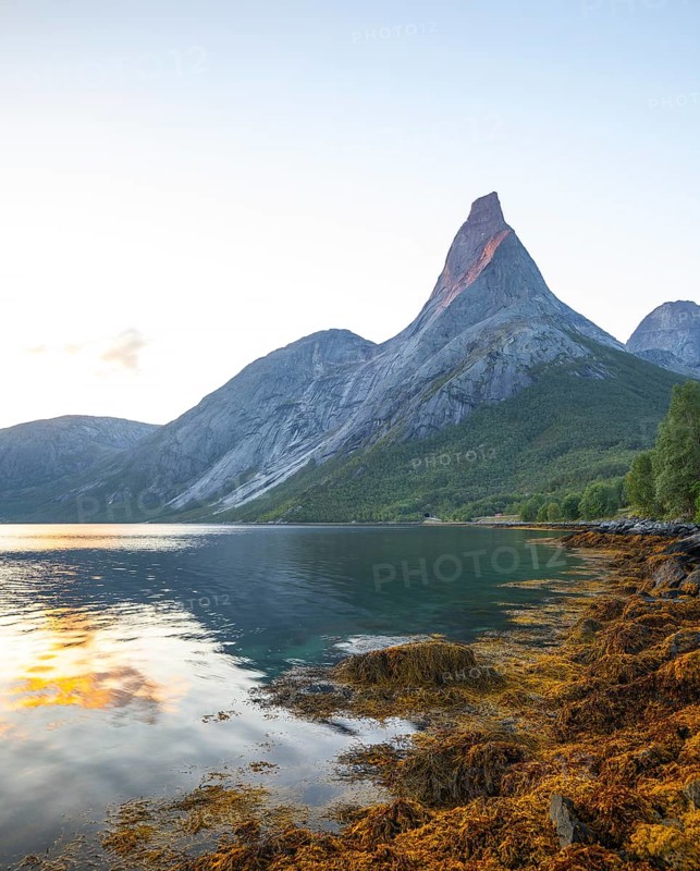 Stetind is illuminated by the first rays of sunshine. Morning light with seaweed on the banks of Tysfjord