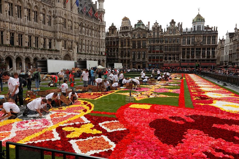 The Grand Place or Grote Markt has been decorated with a carpet of flowers every 2 years since 1971, Brussels, Belgium