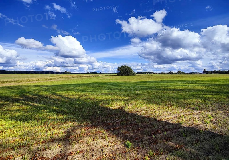 Cultural landscape, Sonnenberg municipality, Oberhavel district, Brandenburg, Germany