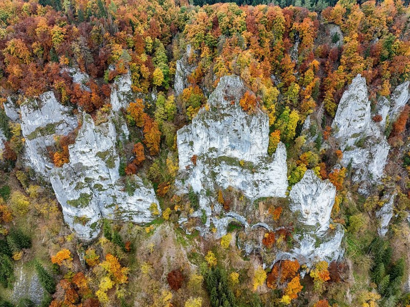 Aerial view, top down view of distinctive rock towers, Weissjura, Jurassic limestone cliffs, limestone rocks, surrounded by autumn vegetation, mixed forest, beech forest, upper Danube valley, Sigmaringen district, Baden-Württemberg, Germany