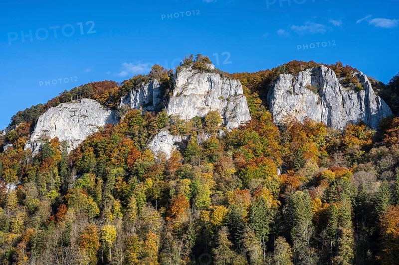 View across the Danube to the distinctive Hausener Zinnen, climbing rocks, Jurassic limestone cliffs, Weissjura, Jura rocks, limestone rocks, surrounded by autumnal vegetation, Hausen im Tal, Upper Danube Valley, Baden-Württemberg, Germany