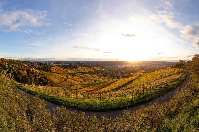 Extensive panorama of the vineyards on Kappelberg near Fellbach in warm evening light with views of Stuttgart and Rotenberg in colorful autumn