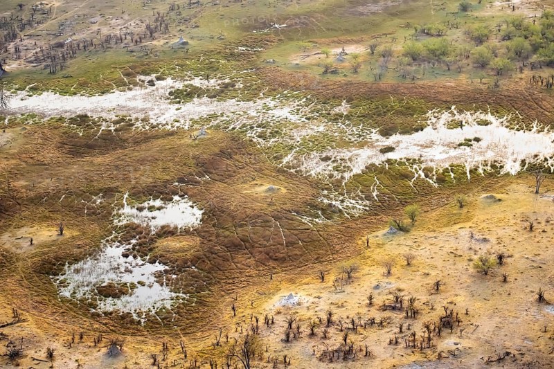 Savanna landscape with termite hills, swamp landscape, aerial view, Okavango Delta, Botswana