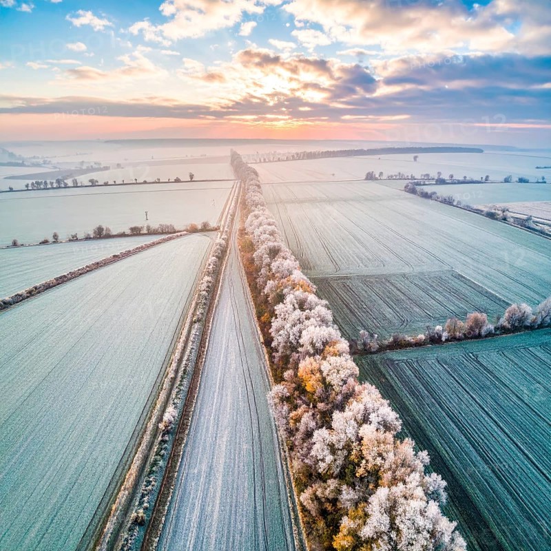 Bird Eye Perspective of Frost Covered Farmland. Seasonal Agricultural Scenery, winter and autumn scene, blue sky with golden light at sunrise, AI generated