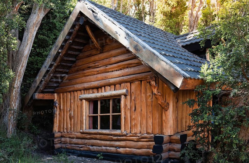 Argentina, Patagonia, Bariloche Island Isla Victoria and Arrayanes forest scenic landscapes