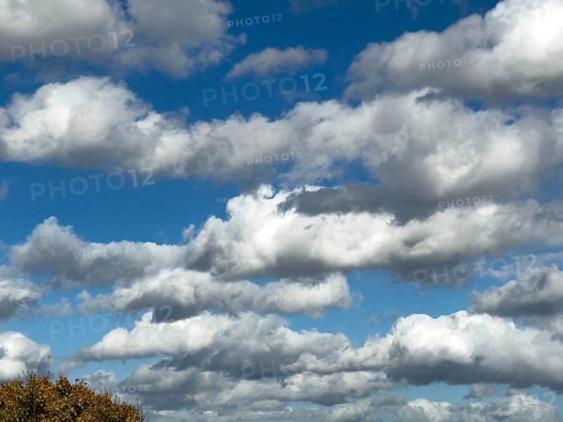 White clouds Cumulus and Stratocumulus driven by approaching storm cloudy against blue sky, international