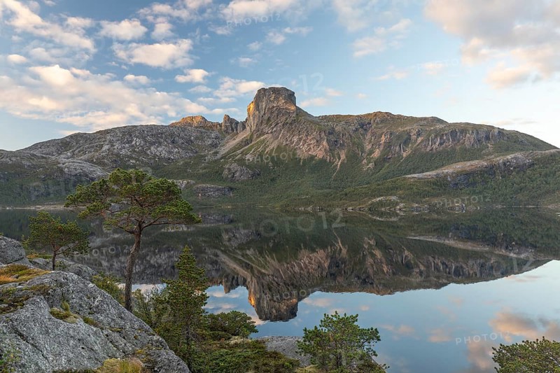 Morning dream over the quiet Steigtindvatnet near Bodø. Pine forest on the rock face at sunrise