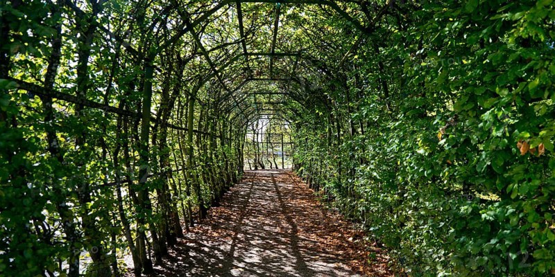 Pergola in Rheinsberg Castle Park, Ruppiner Land, Brandenburg, Germany