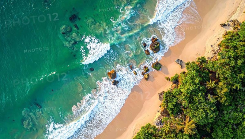 Green algae on the sandy shore of an ocean. Fascinating phenomenon of wild coastline with green plants, white sands, stone, blue water and cliffs, Aerial view of a beautiful abstract unreal and textured landscape, AI generated