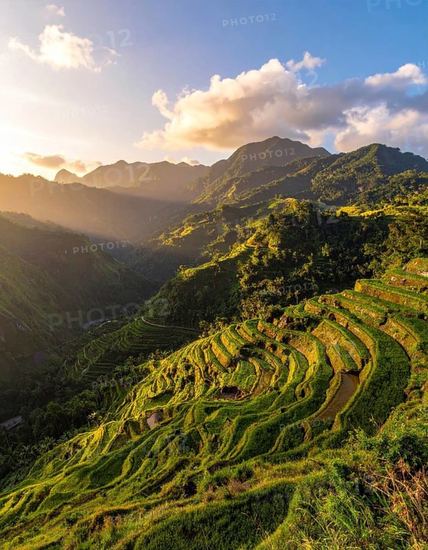Early morning light bathes Philippines rice terraces cascading down mountain slopes, beautiful golden light, AI generated