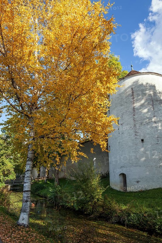 Storage tower with autumn-colored tree, Isny, Allgäu, Baden-Württemberg, Germany