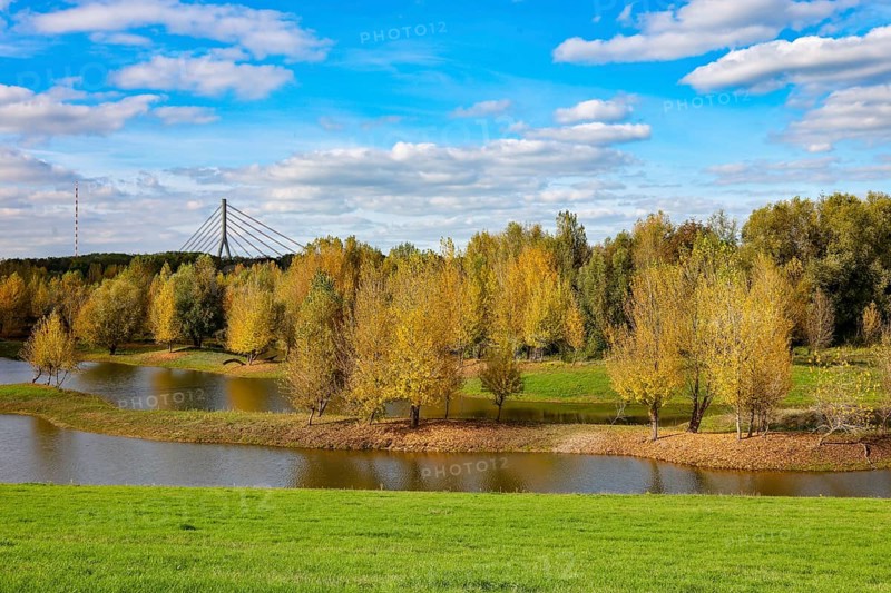 Wesel, Lower Rhine, North Rhine-Westphalia, Germany - autumn on the Lippe, trees with colorful autumn leaves in the restored river floodplain area of Büdericher Insel above the mouth of the Lippe into the Rhine, Lippe estuary nature reserve, in the back the Lower Rhine bridge Wesel