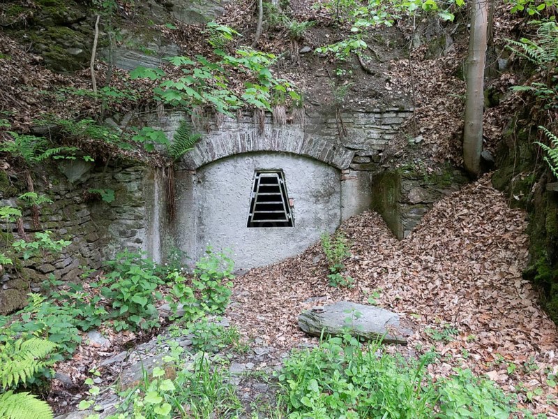 Bat Quarters entrance, wintering, former slate mining tunnel, Thuringia, Germany