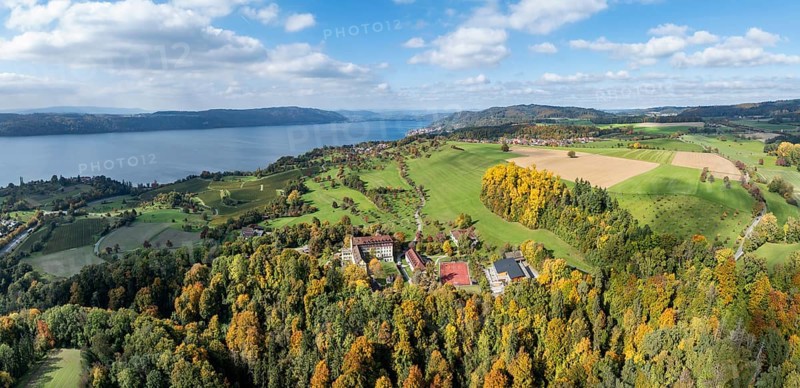 Aerial view, panorama of Lake Constance, Überlinger See, surrounded by autumn vegetation with Spetzgart Castle, Salem International College, Bodanrück on the horizon, Lake Constance District, Baden-Württemberg, Germany