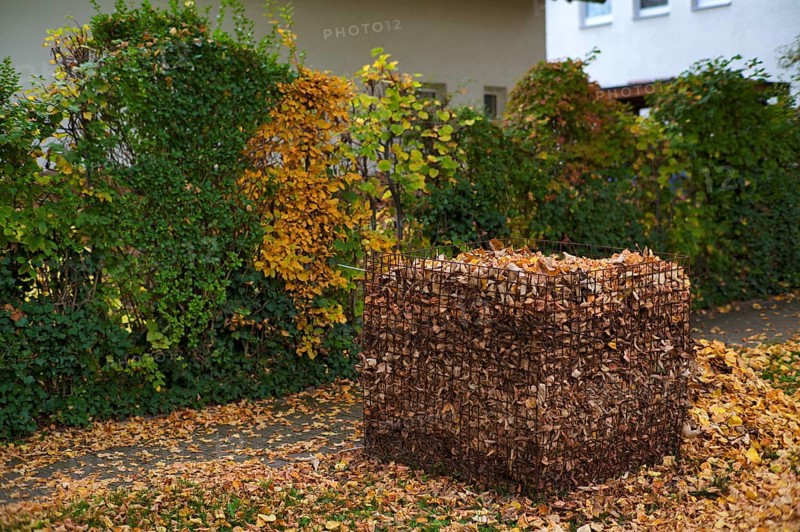 Public collection container, leaf basket, steel mesh compost basket, for collecting autumn leaves, leaves, overfilled, full, leaves, autumn, autumn, residential area, Stuttgart, Baden-Württemberg, Germany