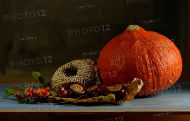 Autumn still life with pumpkin, sunflowers, chestnuts, October, Germany