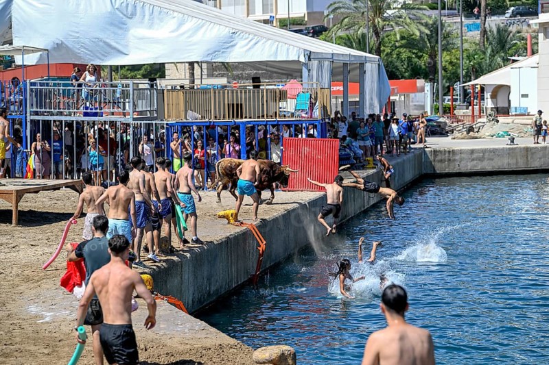 Bous a la Mar Fair, in English Bulls in the Sea, Bullfighting, Javea or Xàbia, Alicante Province, Comunidad Valenciana, Spain