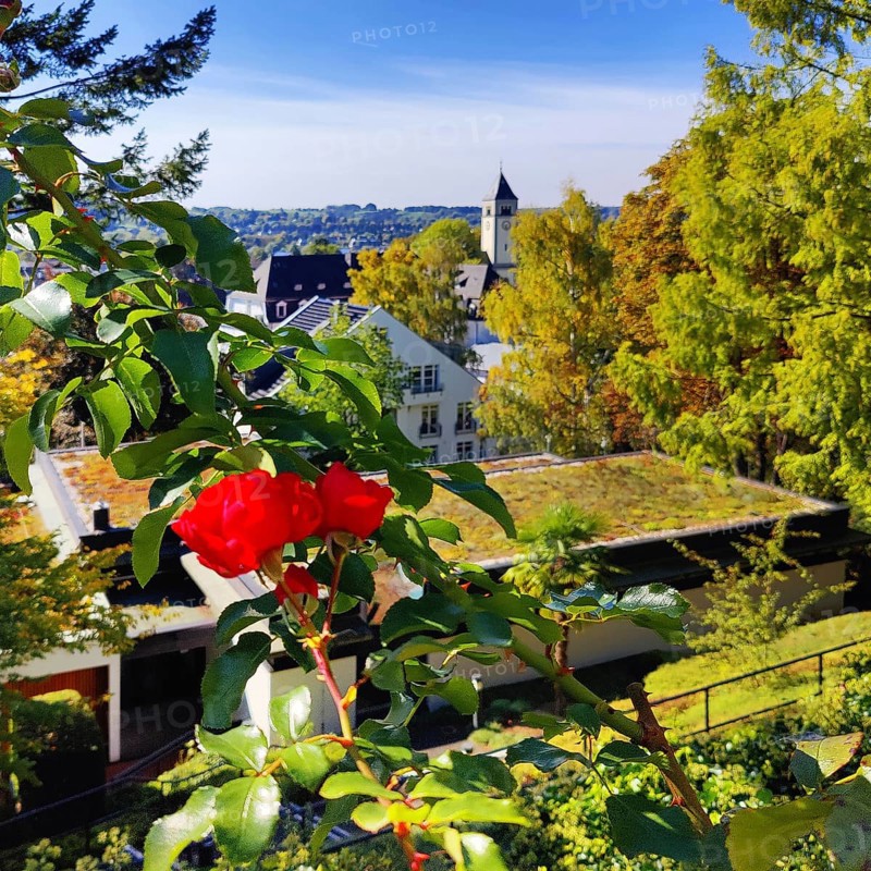 Konrad Adenauer House, view from the garden of St. Mary's Church, Stiftung Bundeskanzler-Adenauer-Haus, Rhöndorf, Bad Honnef, North Rhine-Westphalia, Germany