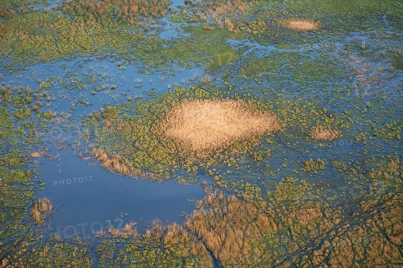 Freshwater marshland, marshland, aerial view, Okavango Delta, Botswana