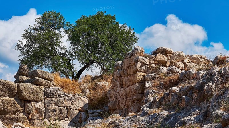 Archaeological site, UNESCO World Heritage Site, Mycenae, Mycenae, important city in pre-classical times, Peloponnese, peninsula, Greece