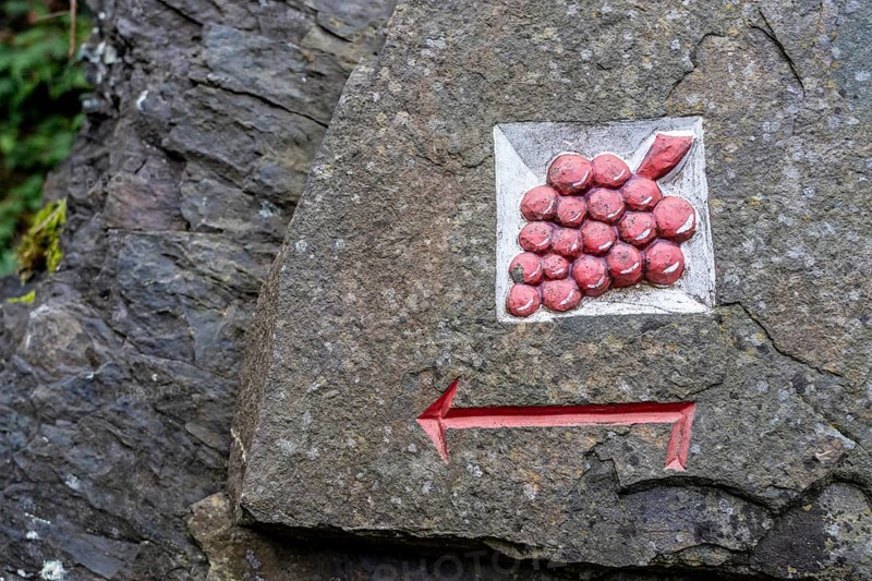 Guide to the red wine hiking trail in the Ahr Valley, logo, here near Altenahr, Rhineland-Palatinate
