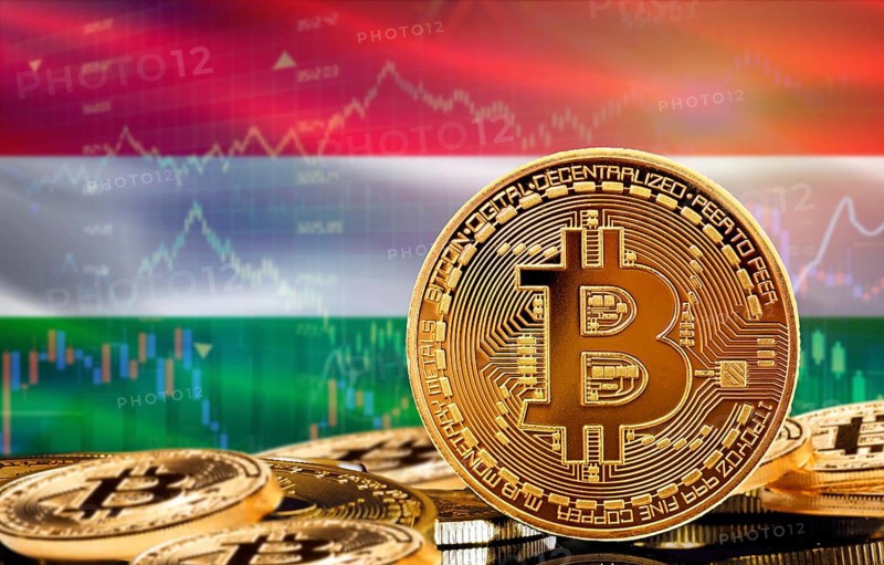 Investors in cryptocurrency and Blockchain Technology in Hungary, Concept. Bitcoin with Hungary flag in the background
