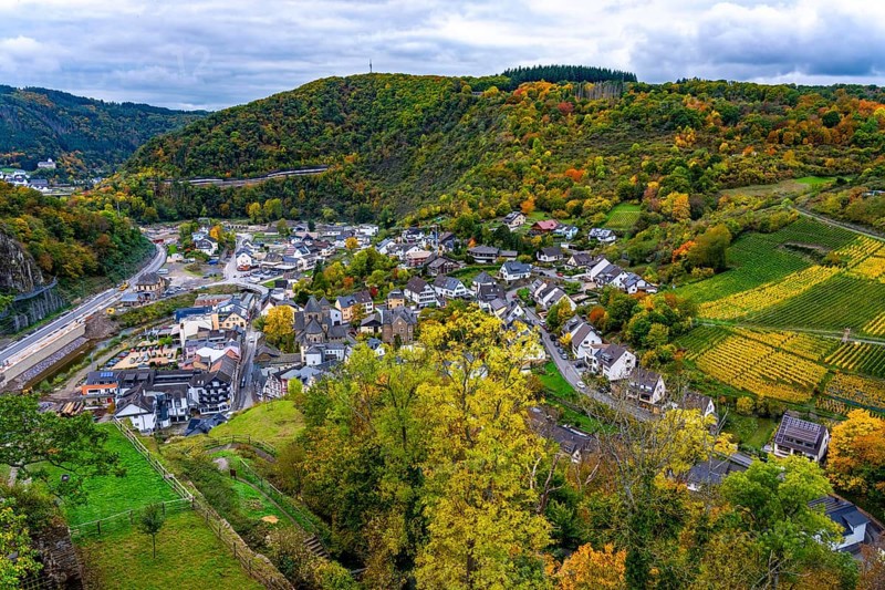 Vineyards in autumn in the central Ahr valley, near Altenahr, Rhineland-Palatinate