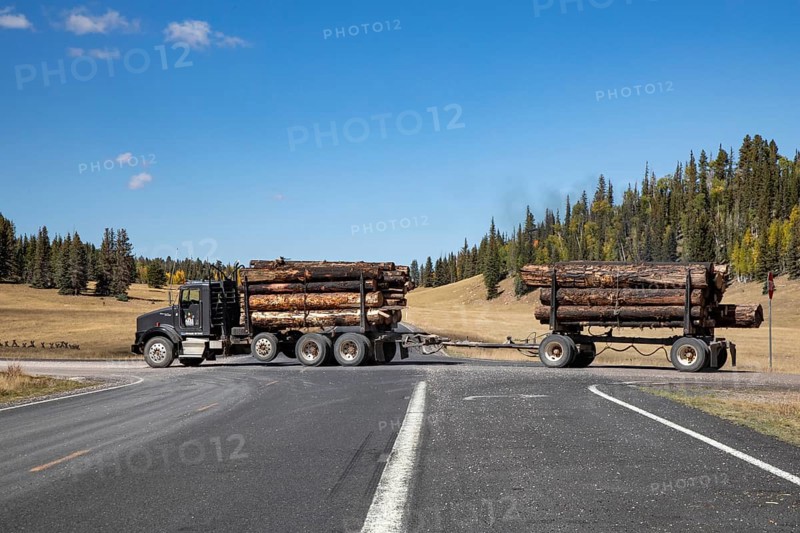 Jacob Lake, Arizona - A logging truck hauls burned trees from the burn zone of the Dragon Bravo Fire. The wildfire burned 145, 000 acres on the north rim of the Grand Canyon and in Kaibab National Forest