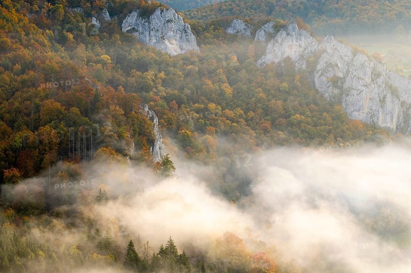 View from the Knopfmacherfelsen into the Danube valley, limestone rock, rock face, mixed forest, autumn colours, fog, autumn, Fridingen, Danube valley, Upper Danube nature park Park, Baden-Württemberg, Germany