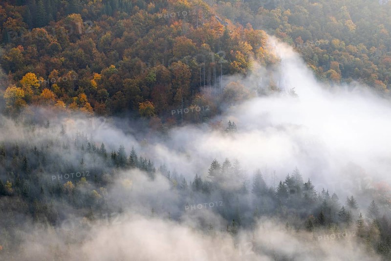 View from the Knopfmacherfelsen into the Danube valley, mixed forest, autumn colours, fog, autumn, Fridingen, Danube valley, Upper Danube nature park Park, Baden-Württemberg, Germany