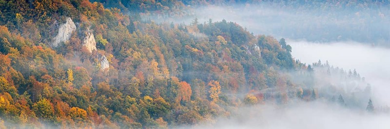 View of Benedictine monastery Beuron, Archabbey of St. Martin, limestone rock, rock face, mixed forest, autumn colours, fog, autumn, Fridingen, Danube Valley, Upper Danube nature park Park, Baden-Württemberg, Germany