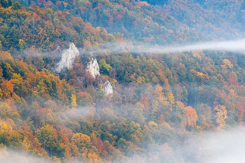 View from the Knopfmacherfels into the Danube valley, limestone rock, rock face, mixed forest, autumn colours, fog, autumn, Fridingen, Upper Danube nature park Park, Baden-Württemberg, Germany