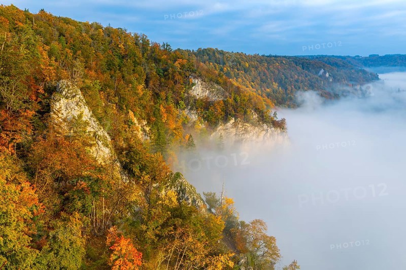 View from the Knopfmacherfels into the Danube valley, limestone rock, mixed forest, autumn colours, fog, autumn, Fridingen, Upper Danube nature park Park, Baden-Württemberg, Germany