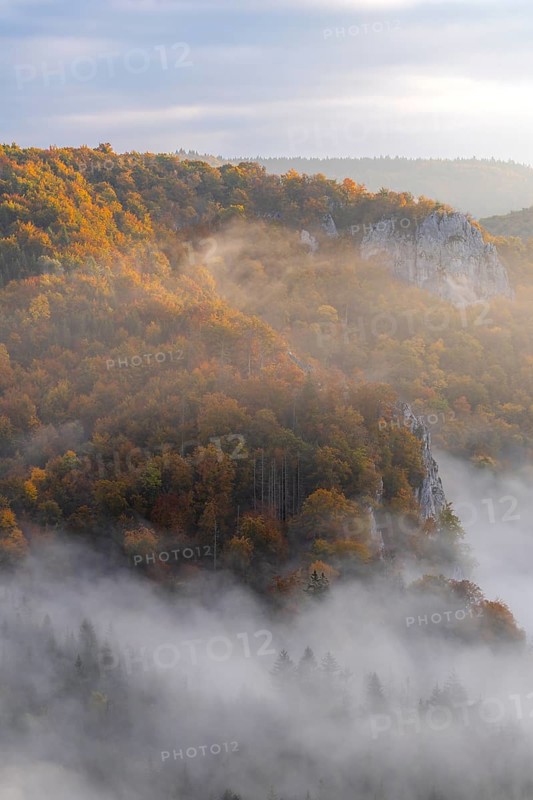 View from the Knopfmacherfels into the Danube valley, limestone rock, rock face, mixed forest, autumn colours, fog, autumn, Fridingen, Upper Danube nature park Park, Baden-Württemberg, Germany