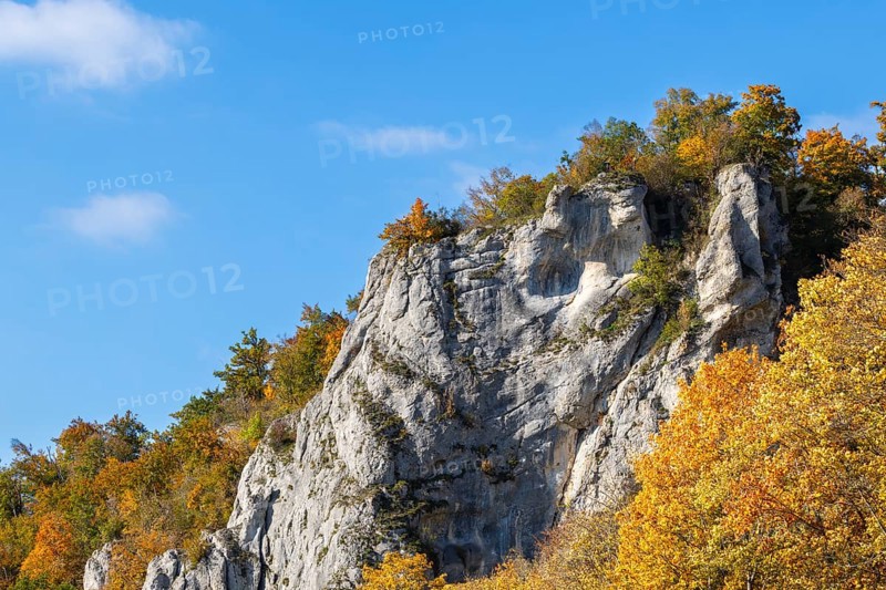 Rock face mixed forest in autumn colours, limestone rock, autumn, Gutenstein, Danube valley, Upper Danube nature park Park, Baden-Württemberg, Germany