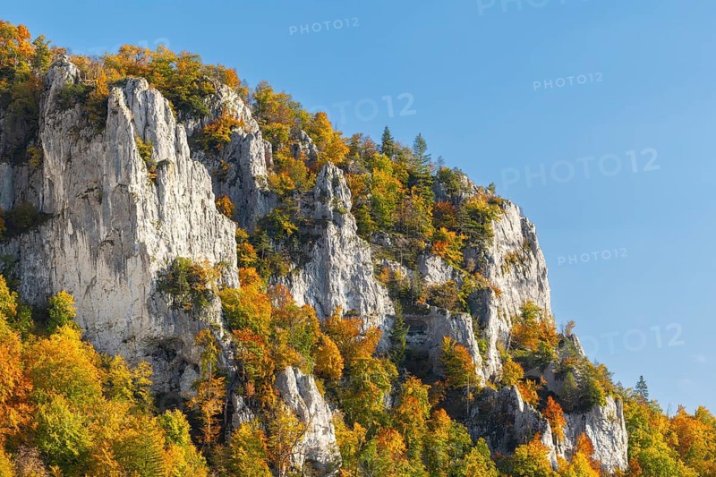Rock face with mixed forest in autumn colours, limestone rock, autumn, Schaufelsen Donautal, Naturpark Obere Donau, Baden-Württemberg, Germany