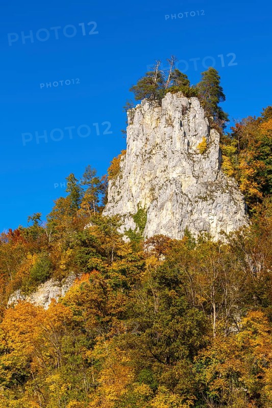 Rock face in mixed forest in autumn colours, limestone rock, autumn, Danube valley, Upper Danube nature park Park, Baden-Württemberg, Germany