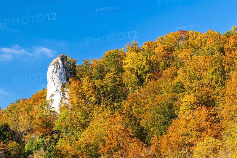 Rock needle in mixed forest in autumn colours, limestone rock, autumn, Danube valley, Upper Danube nature park Park, Baden-Württemberg, Germany