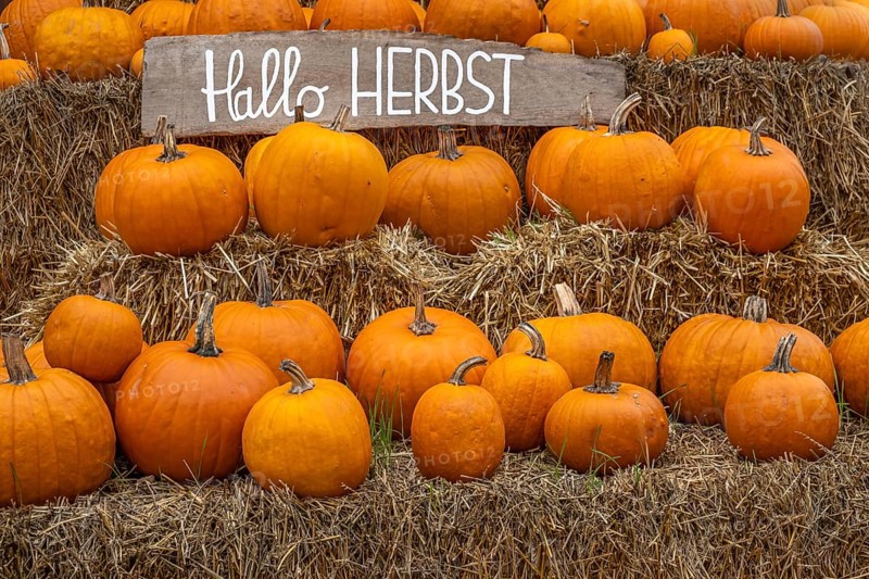 Several pumpkins on stacked straw bales with a sign 'Hello autumn', Münsterland, North Rhine-Westphalia, Germany