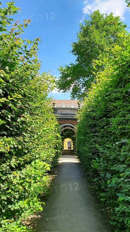 Austria, Schonbrunn Palace Imperial royal Gardens in Vienna