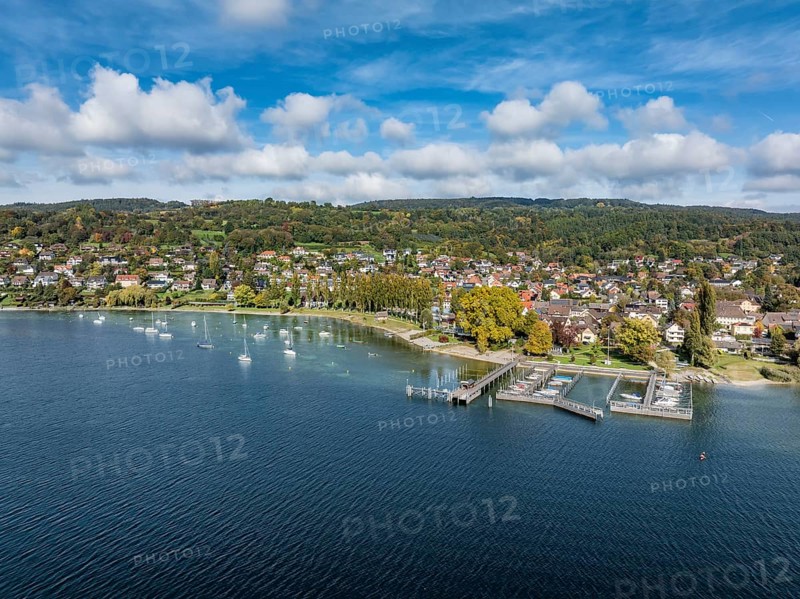 Aerial view of the village of Wangen on the Höri peninsula with boat moorings and jetty on the lakeshore, Lake Rhine, Lake Constance, Constance district, Baden-Württemberg, Germany