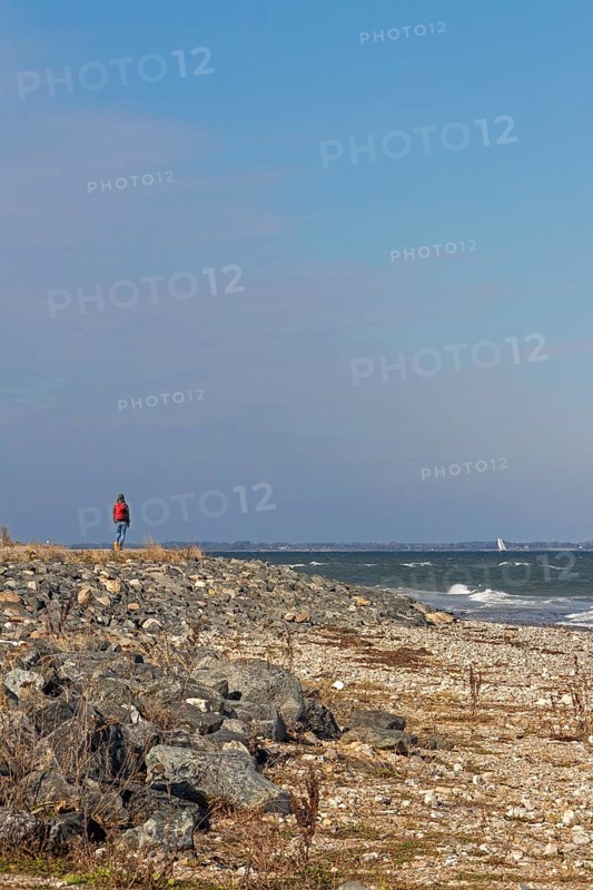 Beach, Baltic Sea, Falshöft, Pommerby, Schleswig-Holstein, Germany