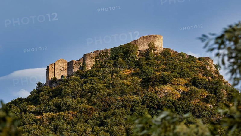 Byzantine castle of Mystras perched on a wooded hill under a blue sky, surrounded by rich vegetation, Mystras, Mistra, UNESCO World Heritage Site, Medieval Byzantine ruined city, northwest of Sparta, foothills of the Tyagetos Mountains, Peloponnese, peninsula, Greece
