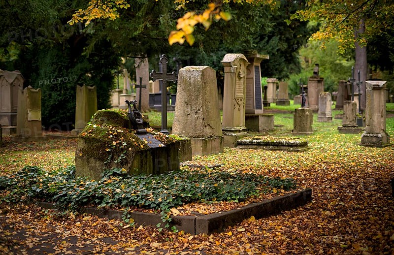 Gravestone, grave of poet and writer Wilhelm Hauff, graves, Hoppenlauf cemetery, oldest preserved cemetery in Stuttgart, autumn leaves, autumn, autumnal, Baden-Württemberg, Germany
